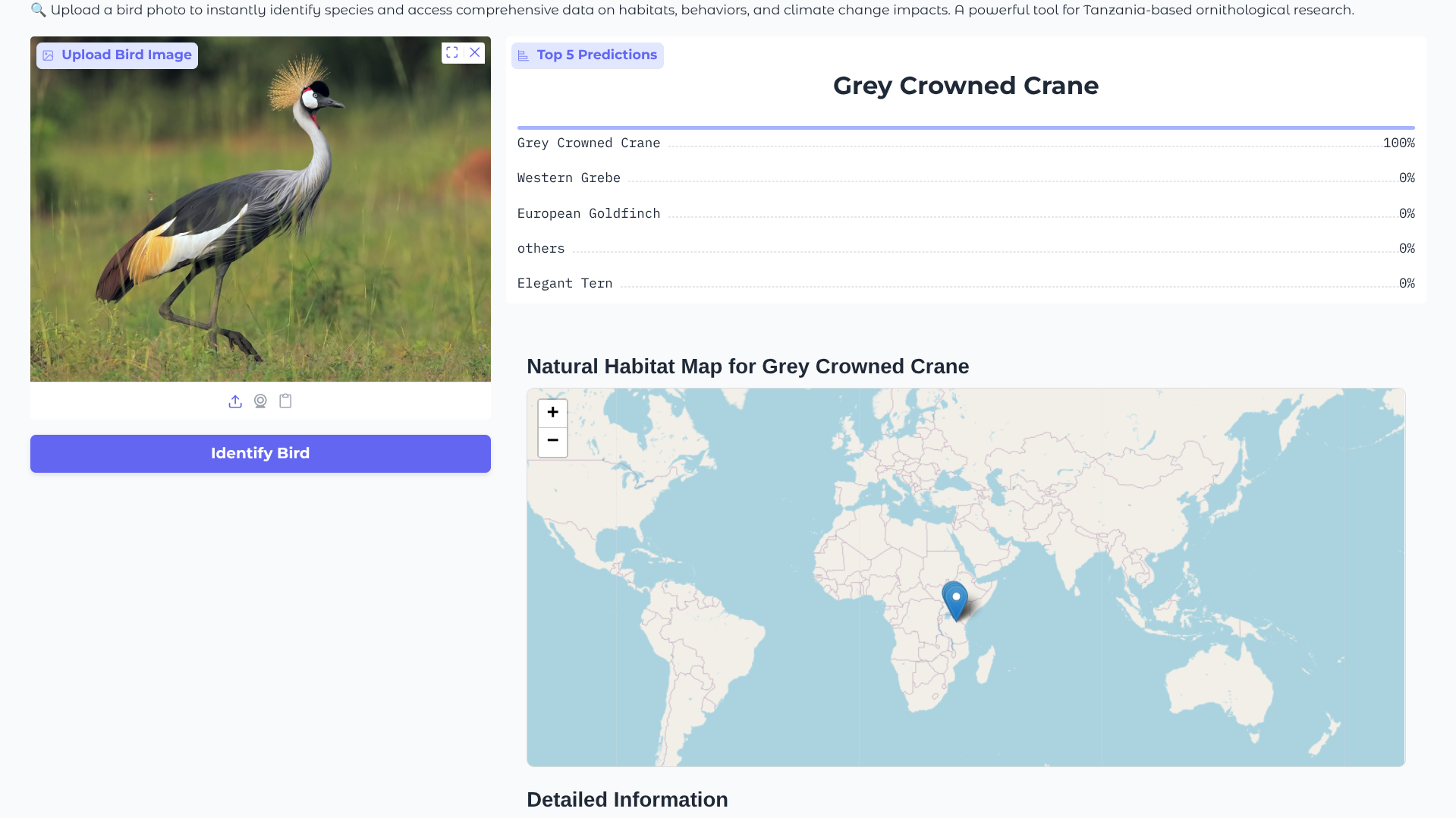 Bird identifier upload screen